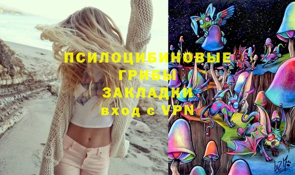 винт Ладушкин