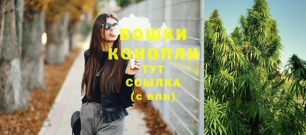винт Ладушкин
