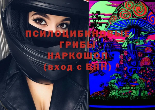 винт Ладушкин