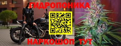 гашиш Жуковский