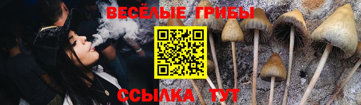 Раменское  Галлюциногенные грибы Cubensis  Псилоцибиновые грибы мухоморы  Вход с VPN 