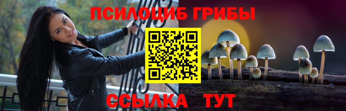 Псилоцибиновые грибы Magic Shrooms Раменское